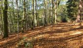 Excursión Senderismo Veix - Tour du Puy d'Orliac - Photo 2