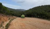 Excursión Senderismo La Londe-les-Maures - Dolmen de Gautabry par le vallon de Tamary - Photo 15