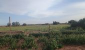 Tour Wandern M'Hamid El Ghizlane ⵎⵃⴰⵎⵉⴷ ⵍⵖⵯⵣⵍⴰⵏ امحاميد الغزلان - Campement 3 au Campement 4 - Photo 2