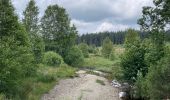 Tour Wandern Weismes - Peak Beer - Photo 3