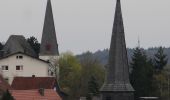 Excursión A pie Bad Endbach - Wanderweg E16 / Schmetterlingsweg - Photo 3