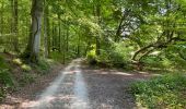 Trail Walking Hoeilaart - Grœnendael ouest + arboretum 9,8 km - Photo 2