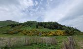 Tocht Stappen Mont-Dore - Mont-Dore_Capucin-Cliergue_T - Photo 3