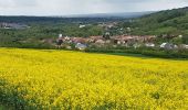 Trail Walking Millery - MILLERY - LA CÔTE DE CREUX - Photo 2