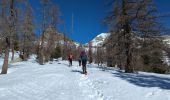 Trail Snowshoes Saint-Martin-Vésubie - Lac Negre raquettes  - Photo 5