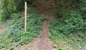 Trail Walking Andenne - Andenne 290823 - Photo 5