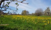 Tour Wandern Eijsden-Margraten - Bemelen - Photo 4