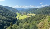 Tour Wandern Krüt - Schlossberg Wildenstein 2,9 km - Photo 3