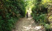 Trail Walking Claveyson - Le bois de Suze - Photo 1