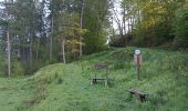 Randonnée Marche Illy - départ d'Olly, arrivée au milieu de la forêt domaniale de Sedan, Ardennes - Photo 17