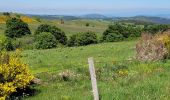 Tocht Stappen Besse-et-Saint-Anastaise - 270522 Besse / Chambon - Photo 2