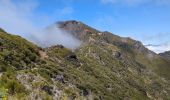 Trail Walking Ilha - PR1 Pico Ruivo - Photo 3