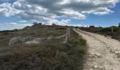 Randonnée Marche Loubaresse - Loubaresse Nord 5,2 km - Photo 2