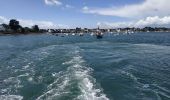 Randonnée Bateau à moteur Locmariaquer - 2023-09-22 golfe du morbihan croisière avec l'angélus - Photo 9