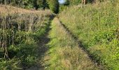 Trail Walking Unknown - Lavardin - Chemin de la roue des Carriers - Photo 11