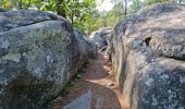 Tocht Stappen Fontainebleau - Barbizon sentier Denecourt 6 ouest - 6-6 - Photo 10