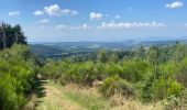 Randonnée Marche Échandelys - Panorama en Livradois-Forez  - Photo 4