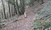 Trail Walking Profondeville - rando Profondeville avec Gégé, Flo, Annne-Fran (bifurcation au 2ème raccourci) - Photo 4