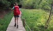 Percorso Marcia Olby - J3 : Olby - lac de Servières - Photo 1