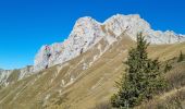 Tour Wandern Talloires-Montmin - Boucle Tournette  - Photo 9