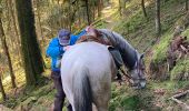 Trail Horseback riding Raon-l'Étape - Yogo Claude tivio kaline - Photo 16