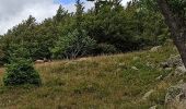 Randonnée Marche Soultz-Haut-Rhin - 01-08-23 Tour Vosges J1: Grand Ballon - Markstein - Photo 5