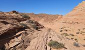 Tour Wandern Unknown - 2024 Vermillon Cliffs Edmaiers trail - Photo 18