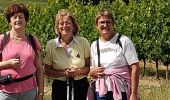 Tour Wandern Bellevigne-en-Layon - Faye d'Anjou - Photo 1