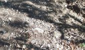 Tour Wandern Manosque - 210625eau - Photo 3