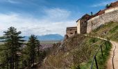 Excursión A pie Râșnov - Râșnov - Valea Poienii - Poiana Brașov - Photo 7