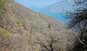 Trail On foot Cannobio - S07 Sant'Anna (Traffiume) - Pro Redond - Photo 4