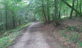 Randonnée Marche Esneux - pré de tilff . bois du manant.  bois des chevreuils  . pré  de tilff - Photo 5