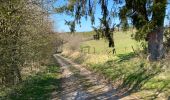 Tour Wandern Neufchâteau - Neufchateau 25 km - Photo 9