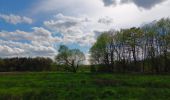 Trail Walking Theux - la reid . vert buisson . charmille / variante  - Photo 7