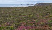 Tour Wandern Camaret-sur-Mer - T-St-Julien - Photo 3