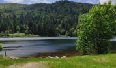 Tour Wandern Xonrupt-Longemer - retournemer hohnech schiesrothried blanchemer et lande  - Photo 7