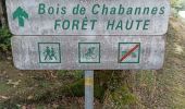 Tour Wandern Fursac - Crechat, l'ecornebeuf, boi de Chabanne  - Photo 2