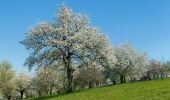 Tour Zu Fuß Unbekannt - Grünberg - Rittnerthof - Photo 2