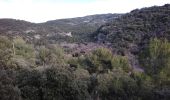 Trail Walking Saumane-de-Vaucluse - saumane 84 la pierre seche - Photo 3