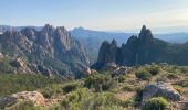 Excursión Senderismo Quenza - Col de Bavella-Conca Étape GR - Photo 9