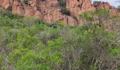 Excursión Senderismo Roquebrune-sur-Argens - Blavet selon François  - Photo 12