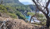 Tour Zu Fuß Hyères - Ile de Porquerolles côté ouest 24-05-2024 - Photo 4