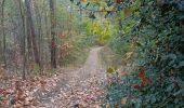 Trail Walking Lanaken - Petersheim  - Photo 6