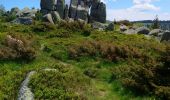 Tour Wandern Luttenbach-près-Munster - Autour du Petit Ballon et ses fermes auberges - Photo 20