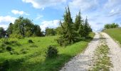 Tour Zu Fuß Gomadingen - Traufgang Wiesenrunde - Photo 7