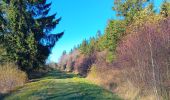 Trail Walking Eupen - nahtsief court - Photo 18