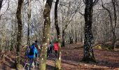 Randonnée Marche Rosis - Douch Mont Caroux - Photo 8