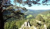 Trail Walking Goumois - Les Sommêtres - Photo 3