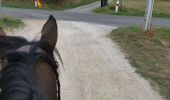 Tocht Paardrijden Fronton -  trec club 1 - Photo 11