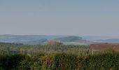 Tour Wandern Nassogne - Nassogne 070921 - Photo 10